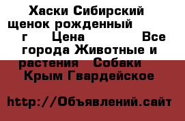 Хаски Сибирский (щенок рожденный 20.03.2017г.) › Цена ­ 25 000 - Все города Животные и растения » Собаки   . Крым,Гвардейское